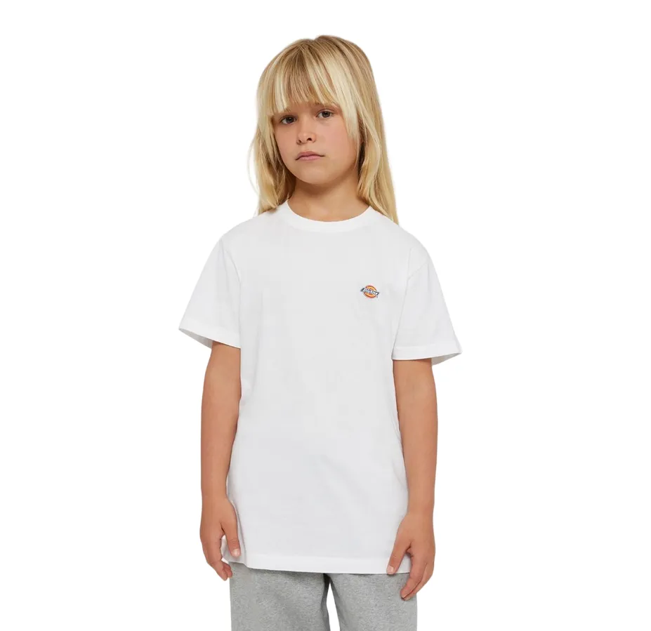 Dickies boys short sleeve t-shirt Mapleton DK0KSR640WH1 white